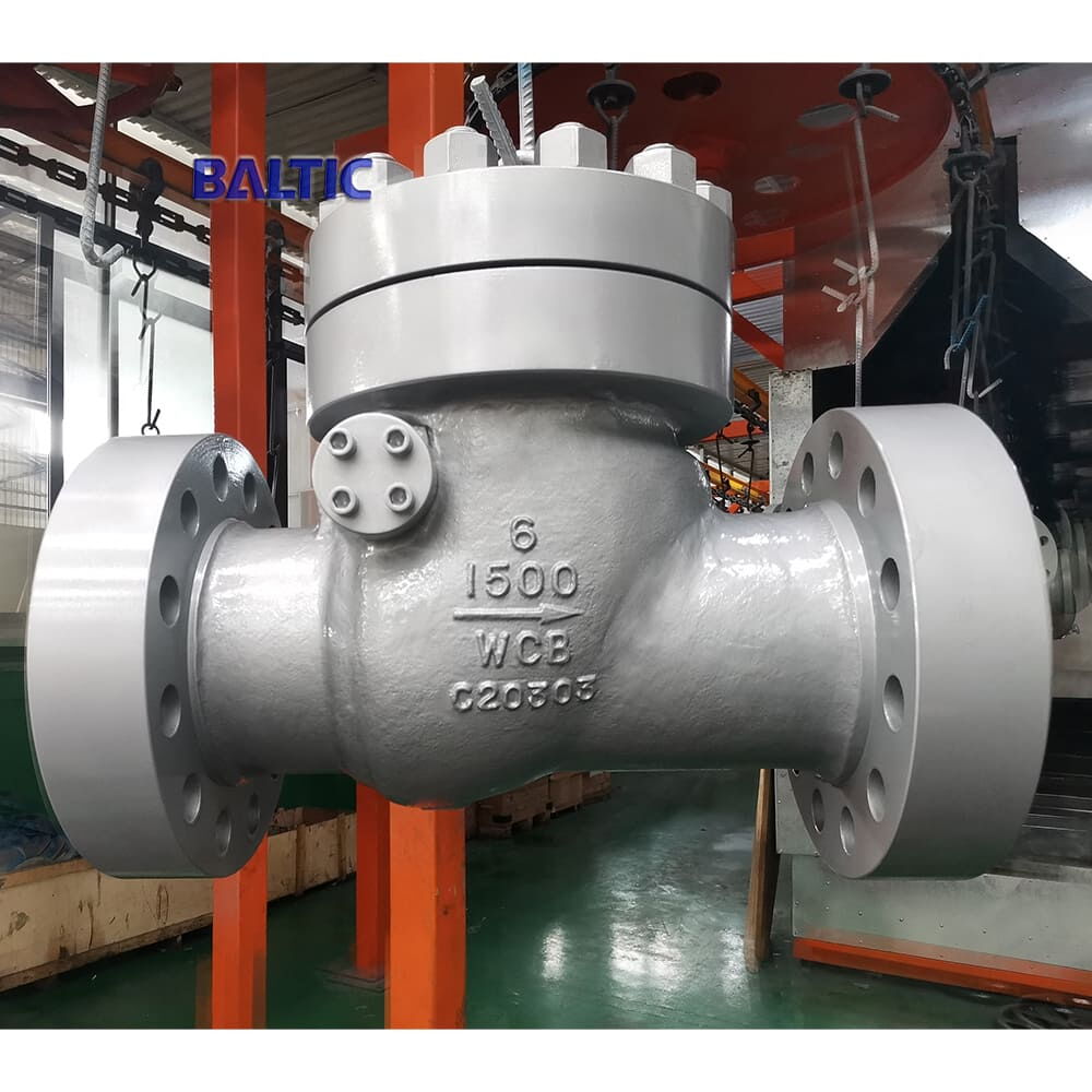 6 Inch Swing Check Valve