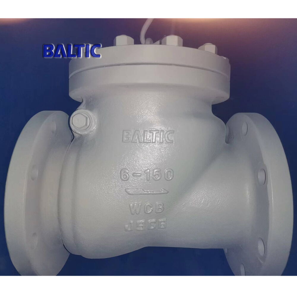 ASTM A216 WCB Swing Check Valve, 6 Inch, CL150, API 6D, RF