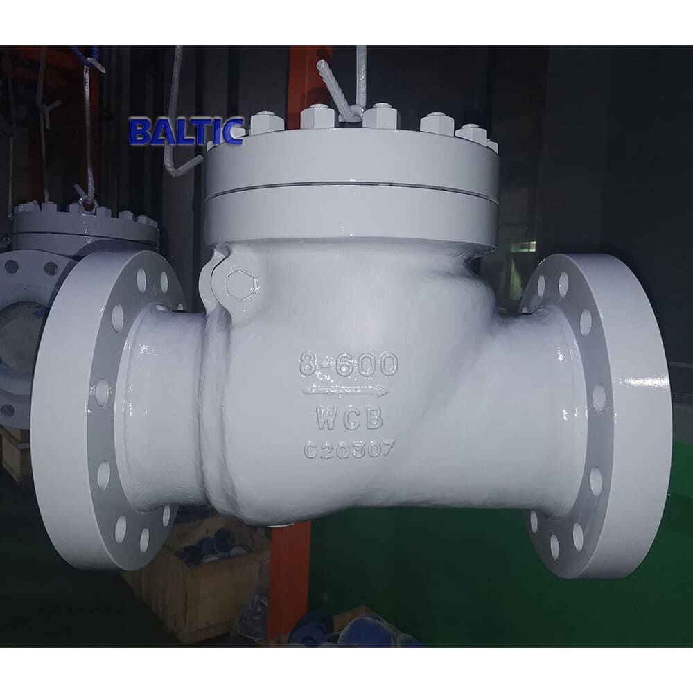 8 Inch Swing Check Valve