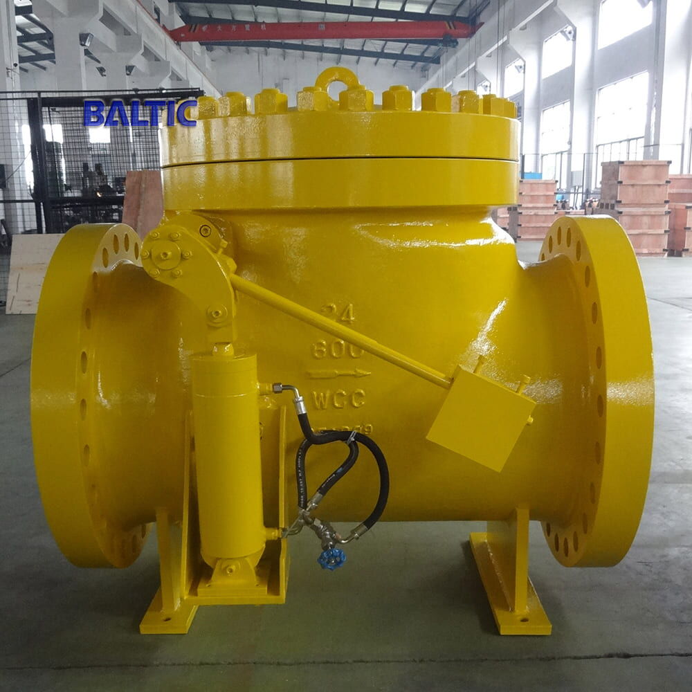 Swing Check Valve