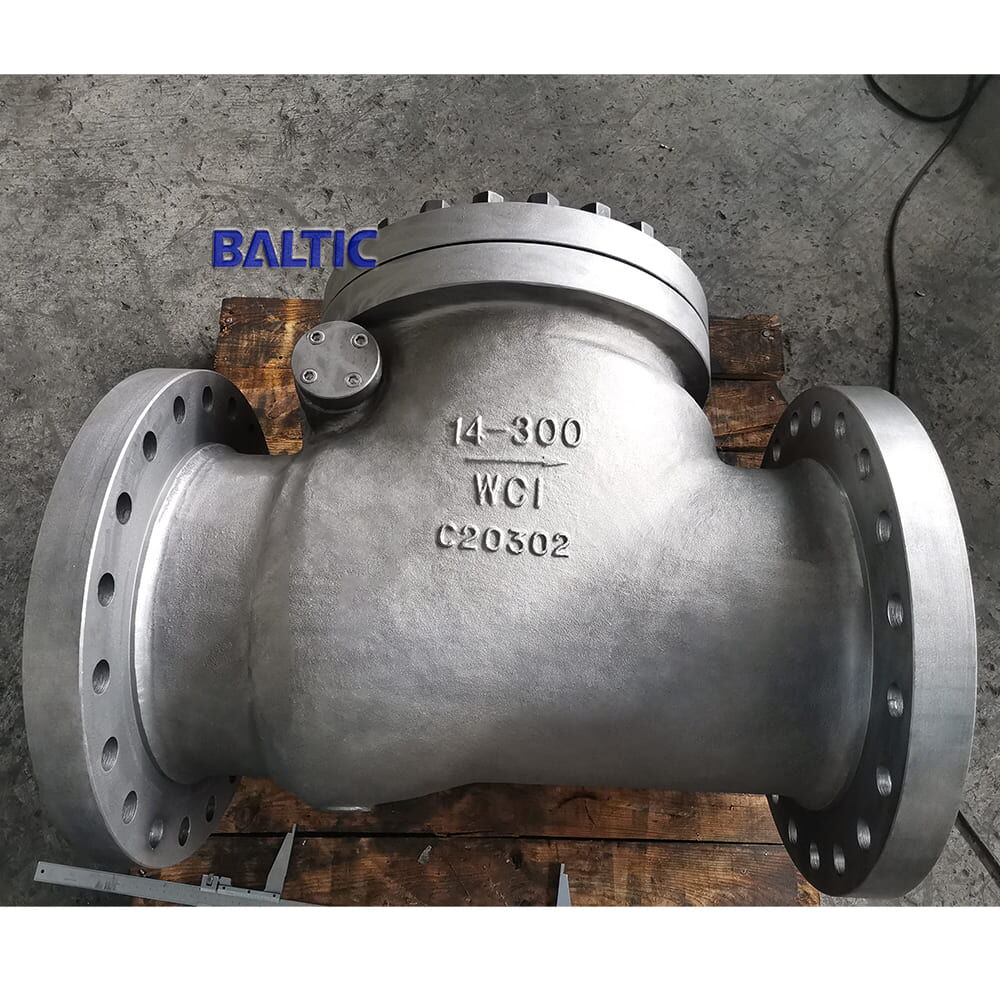 Swing Check Valve