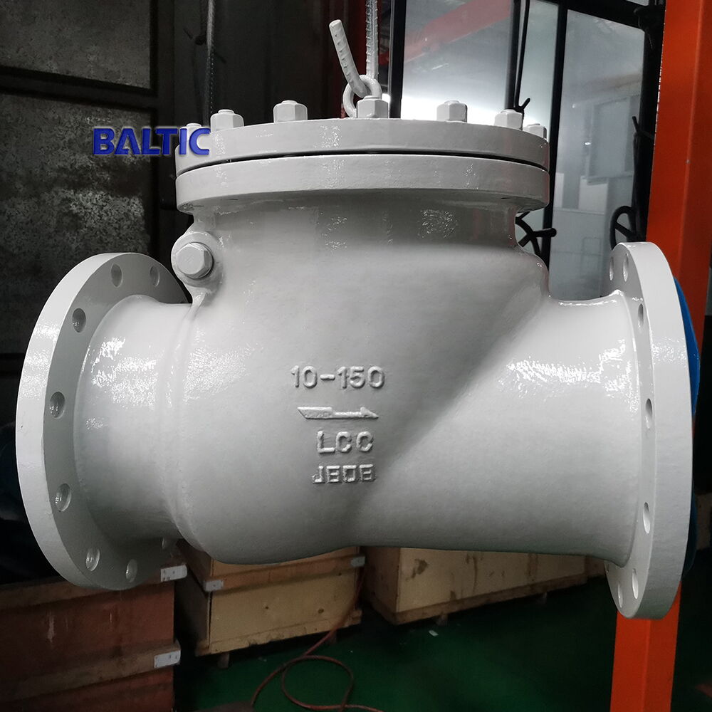 RF Flanged Swing Check Valve, 10 IN, CL150, ASTM A216 WCB - Baltic