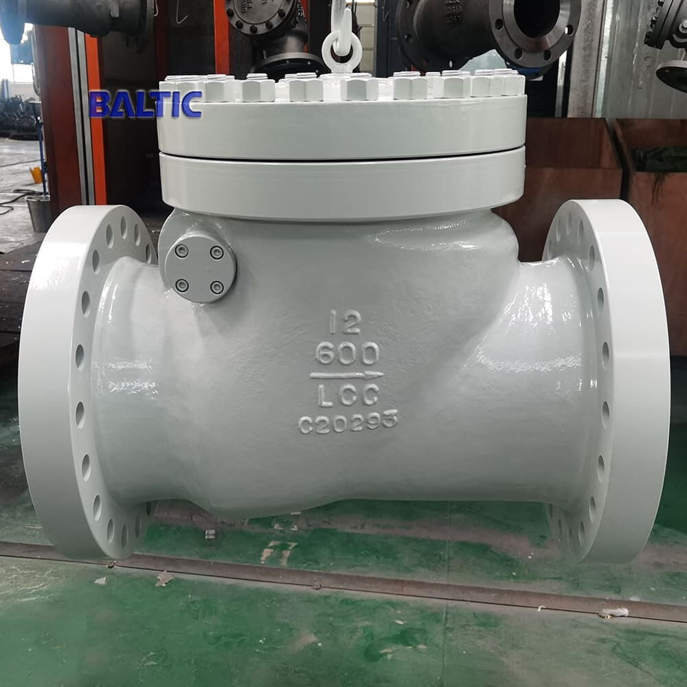 12 Inch Swing Check Valve