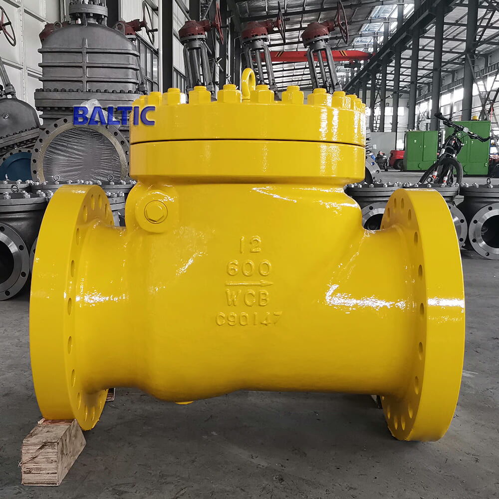 12 Inch Swing Check Valve