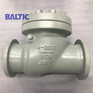 API 6D Full Bore Swing Check Valve, 4 Inch, Class 300, RF
