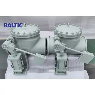API 6D Swing Check Valve, BS EN 10213 GP240GH, DN250, PN16