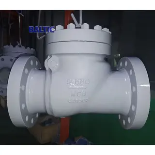 8 Inch Swing Check Valve
