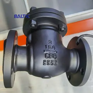 BS 1868 Swing Check Valve, ASTM A351 CF8, 2 Inch, 150 LB