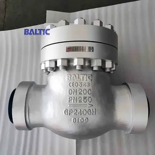 BS 1868 GP240GH Swing Check Valve, DN200, PN250, BW