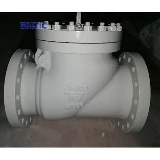 API 6D Swing Check Valves, WCB, 10 Inch, Class 300 LB, RF