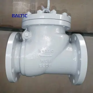 ASTM A216 WCB Swing Check Valve, 6 Inch, CL150, API 6D, RF