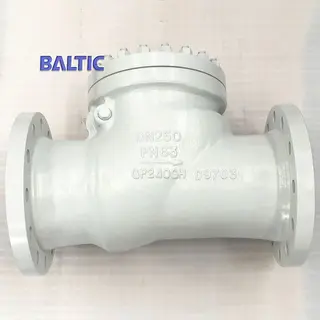 API 6D Swing Check Valve, EN 10213 GP240GH, DN250, PN63, RF