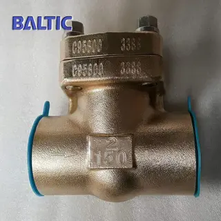 API 602 Swing Check Valve, B148 C95800, 2 Inch, 150 LB, NPT