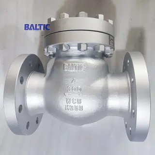 Swing Check Valve