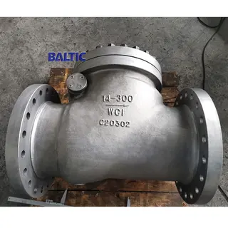 Swing Check Valve