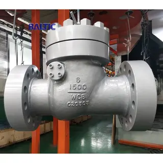 6 Inch Swing Check Valve