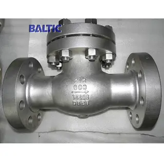 2-1/2 Inch Swing Check Valve, 1.4408, BS 1868, 600 LB, RF