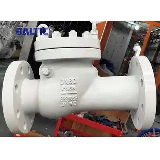 EN 10213 GP240GH Swing Check Valve, API 6D, DN80, PN63, RF