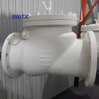 RF Flanged Swing Check Valve, 10 IN, CL150, ASTM A216 WCB