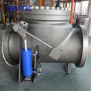 30 Inch Swing Check Valves, API 6D, ASTM A216 WCB, 300 LB