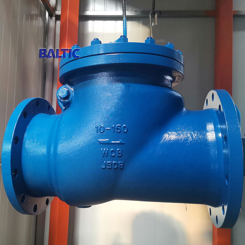 ASTM A352 LCC Swing Check Valve, 10 Inch, Class 150, API 6D - Baltic