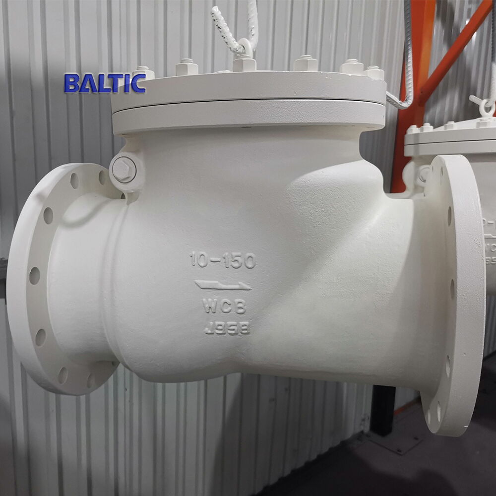 RF Flanged Swing Check Valve, 10 IN, CL150, ASTM A216 WCB