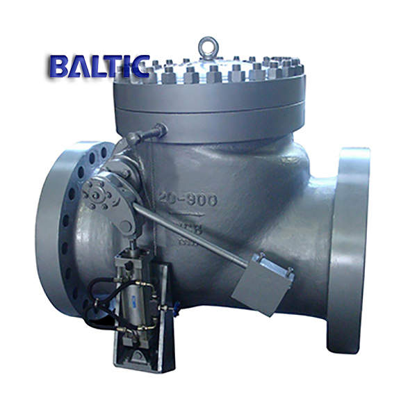 Swing Check Valve, Lever Counter Weight Hydraulic Damping Cylinder