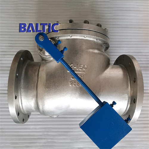 API 6D Stainless Steel Cryogenic Swing Check Valve, 12 Inch