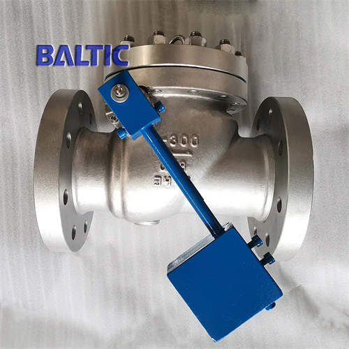 ASTM A351 CF8 Cryogenic Swing Check Valve, 4 Inch, 300 LB