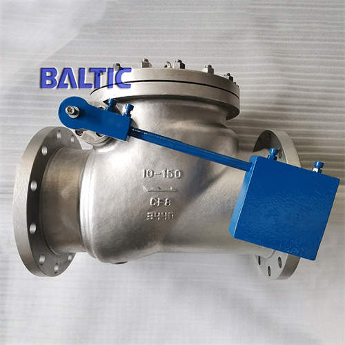 Cryogenic Swing Check Valve, A351 CF8, BS 1868, 10IN, CL150