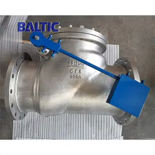 DIN 3352 Cryogenic Swing Check Valve, ASTM A351 CF8, 18IN