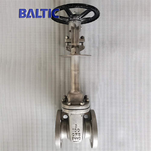 API 600 Stainless Steel Cryogenic Gate Valve, 3 Inch, 150 LB