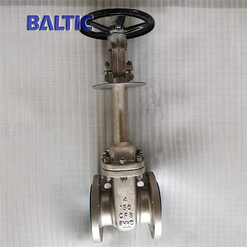 Flanged Cryogenic Gate Valve, ASTM A351 CF8, 4 Inch, 150 LB