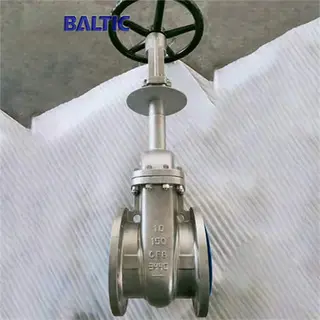 BW Cryogenic Gate Valve, API 600, SS,10 Inch, Class 150 LB