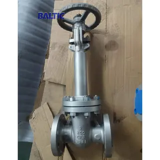 ASTM A351 CF8 Cryogenic Gate Valve, 2 Inch, 300 LB, RF