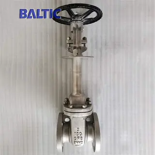 API 600 Stainless Steel Cryogenic Gate Valve, 3 Inch, 150 LB