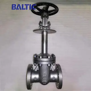 API 600 Cryogenic Gate Valve, 3 Inch, 300 LB, RF