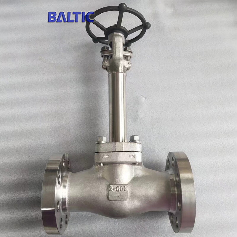 2 Inch Cryogenic Globe Valve, 600 LB, ASTM A182 F304, API 602