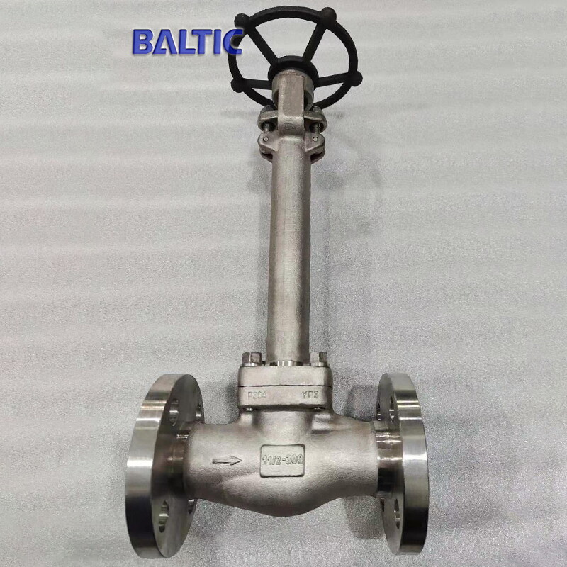 300 LB Cryogenic Globe Valve, 1-1/2 Inch, API 602, A182 F304