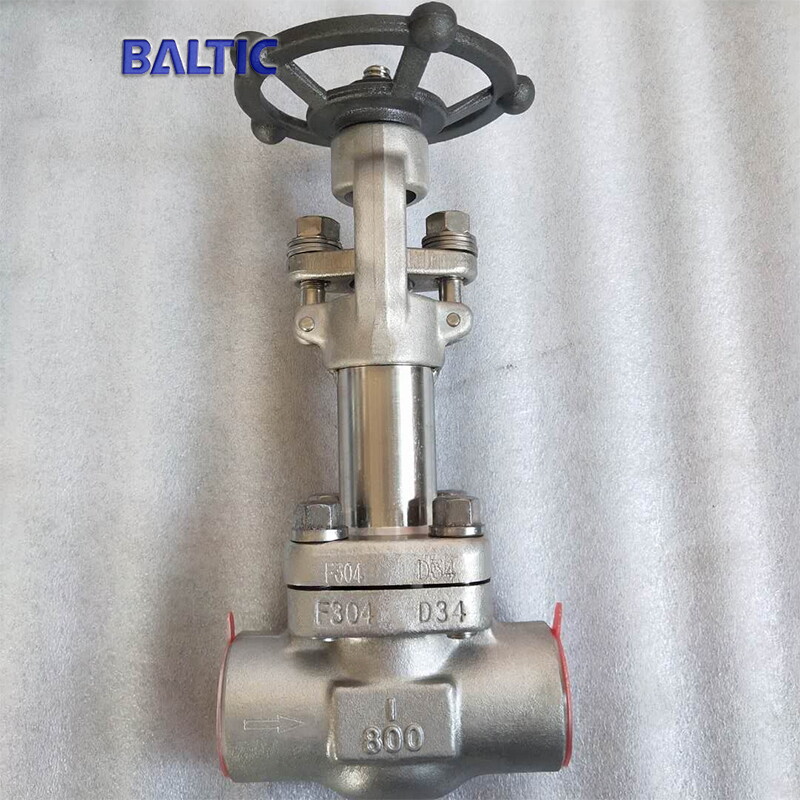 API 602 Cryogenic Globe Valve, 1 IN, 800 LB, A182 F304, SW
