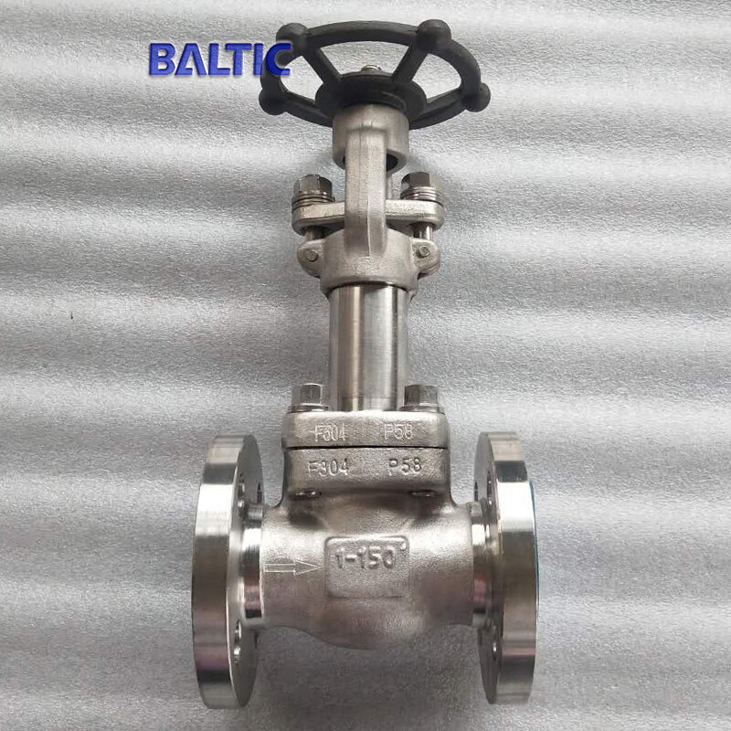 ASTM A182 F304 Cryogenic Globe Valve, 1 IN, 150 LB, API 602