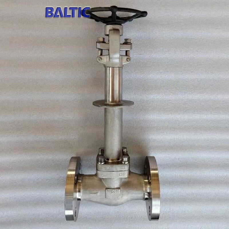 ASTM A182 F316 Cryogenic Globe Valve, 1-1/2 IN, 300 LB, RF