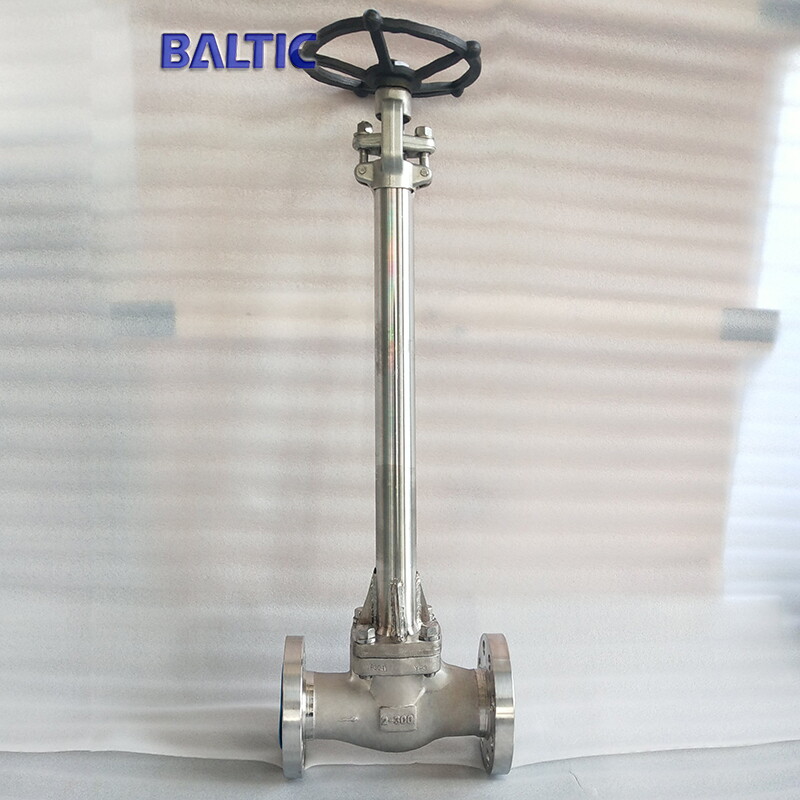 ASTM A182 F321 Cryogenic Globe Valve, 2 IN, 300 LB, API 602