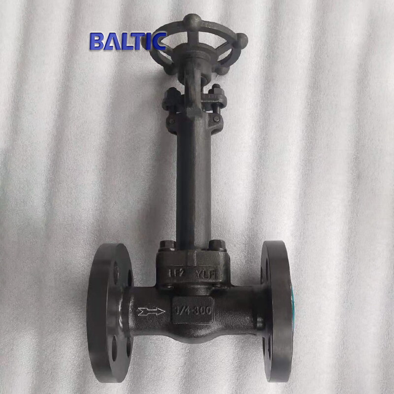 ASTM A350 LF2 Cryogenic Globe Valve, 3/4 Inch, 300 LB, RF