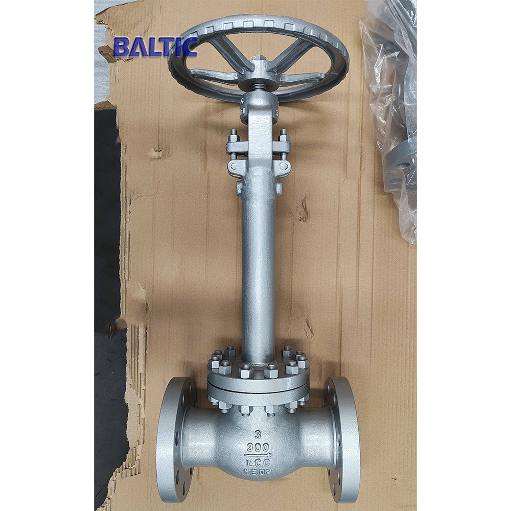 ASTM A352 LCC Cryogenic Globe Valve, 3 IN, CL300, RF Flanged