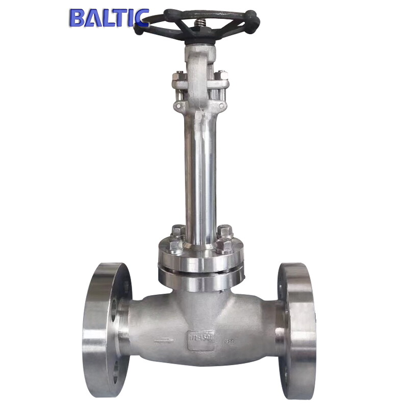 Class 1500 LB Cryogenic Globe Valve, 1-1/2 IN, API 602, F304