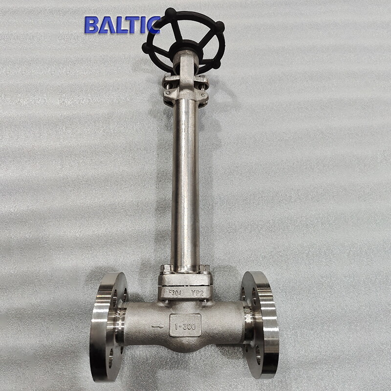 Class 300 LB Cryogenic Globe Valve, 1 IN, ASTM A182 F304, RF