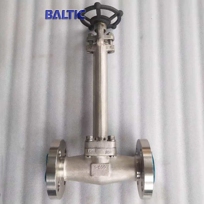Class 600 LB Cryogenic Globe Valve, 1 IN, API 602, A182 F316