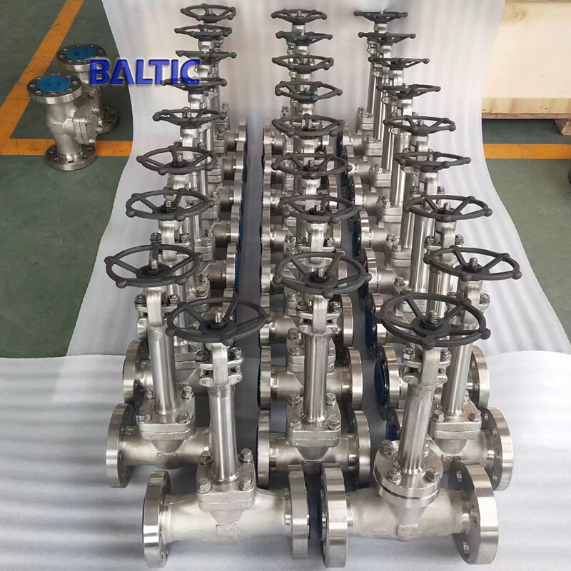 Cryogenic Globe Valve, 2 Inch, 1500 LB, API 602, A182 F304