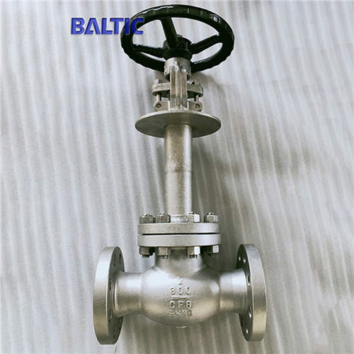 DIN 3356 Cryogenic Globe Valve, ASTM A351 CF8, 2IN, CL300